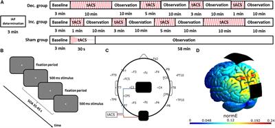 Absence of Alpha-tACS Aftereffects in Darkness Reveals Importance of Taking Derivations of Stimulation Frequency and Individual Alpha Variability Into Account